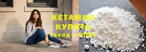 индика Богородицк