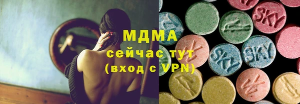 ПСИЛОЦИБИНОВЫЕ ГРИБЫ Богданович