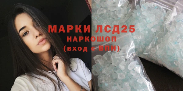 ПСИЛОЦИБИНОВЫЕ ГРИБЫ Богданович