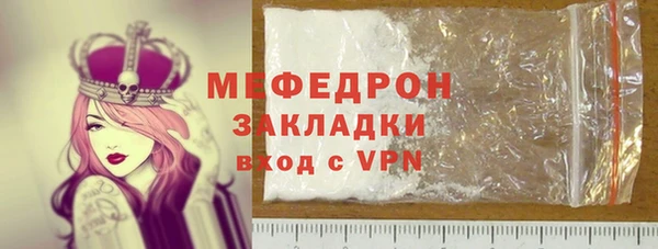индика Богородицк
