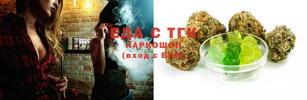 индика Богородицк