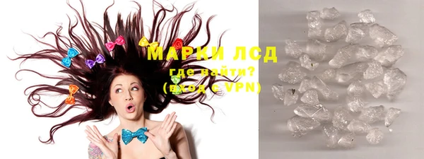 ПСИЛОЦИБИНОВЫЕ ГРИБЫ Богданович