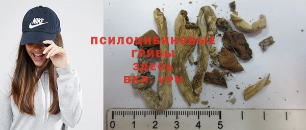 ПСИЛОЦИБИНОВЫЕ ГРИБЫ Богданович