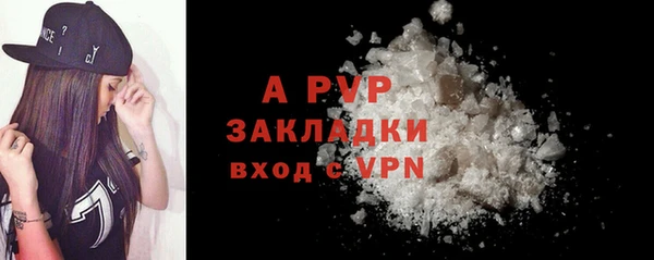 ПСИЛОЦИБИНОВЫЕ ГРИБЫ Богданович