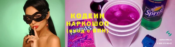 ПСИЛОЦИБИНОВЫЕ ГРИБЫ Богданович