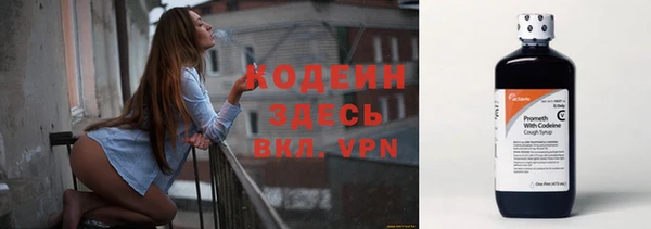 индика Богородицк