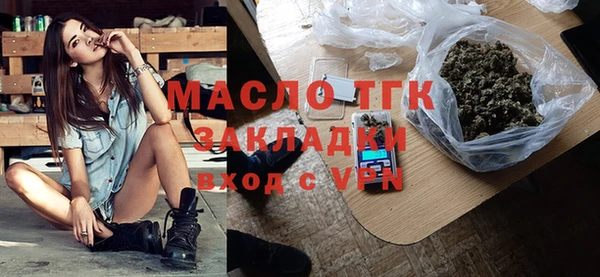 индика Богородицк
