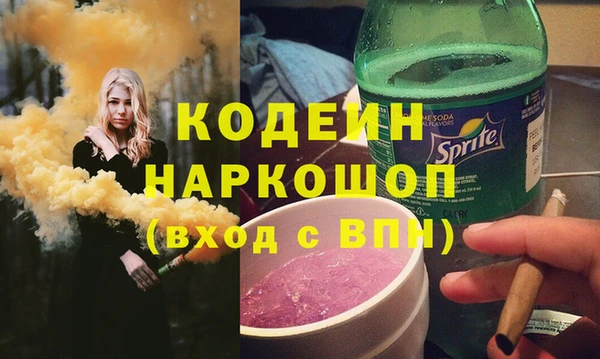 индика Богородицк