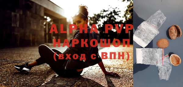индика Богородицк