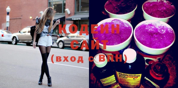 индика Богородицк