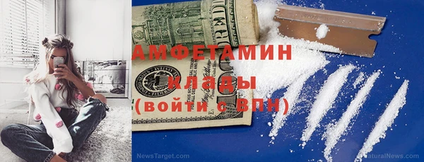 индика Богородицк