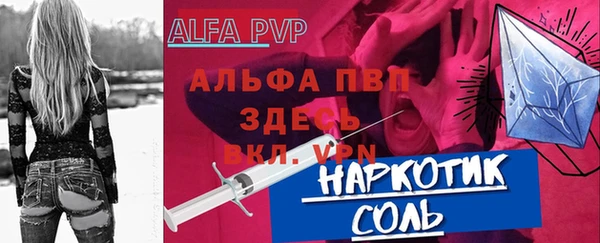 индика Богородицк