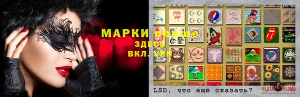 ПСИЛОЦИБИНОВЫЕ ГРИБЫ Богданович