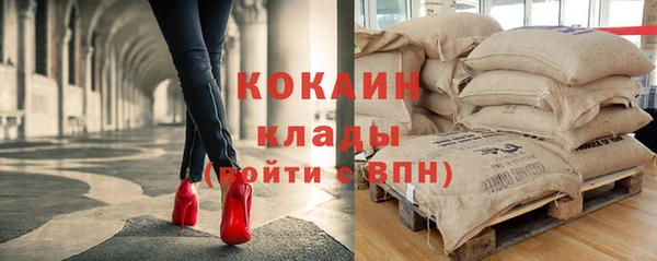 индика Богородицк