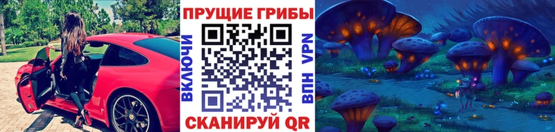 Псилоцибиновые грибы GOLDEN TEACHER  Купить  Кандалакша 